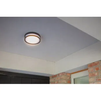 Lutec Rola matt fekete LED kültéri fali/mennyezeti lámpa (LUT-6382201012) LED 1 izzós IP54