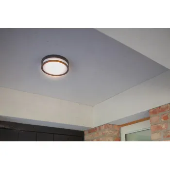 Lutec Rola sötétszürke LED kültéri fali/mennyezeti lámpa (LUT-6382201118) LED 1 izzós IP54
