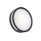 Lutec Rola sötétszürke LED kültéri fali/mennyezeti lámpa (LUT-6382201118) LED 1 izzós IP54