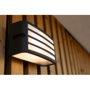 Lutec Zebra sötétszürke kültéri fali lámpa (LUT-5203501118) E27 1 izzós IP44