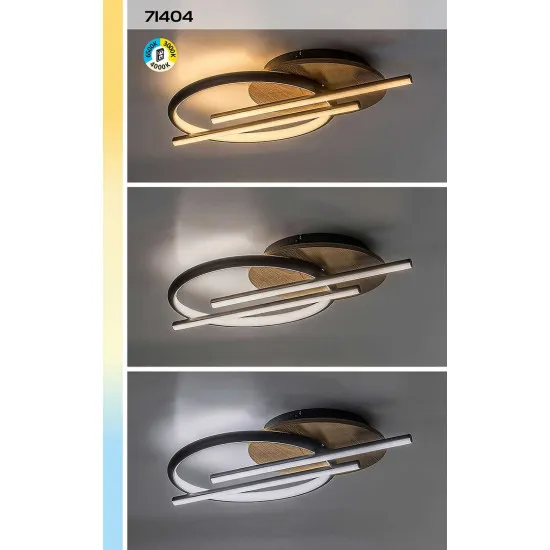 Rábalux Arash fekete LED mennyezeti lámpa (RAB-71404) LED 1 izzós IP20