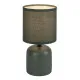 Rábalux Daphni zöld asztali lámpa (RAB-74055) E14 1 izzós IP20