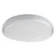 Rábalux Dolcino fehér-átlátszó vízvédett LED fürdőszobai lámpa (RAB-75060) LED 1 izzós IP44
