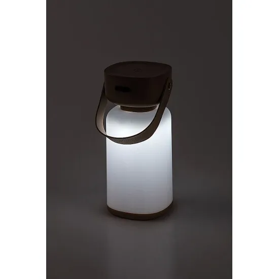 Rábalux Funes barna kültéri hordozható LED asztali lámpa (RAB-77143) LED 1 izzós IP44