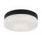 Rábalux Gaelo fekete fürdőszobai LED mennyezeti lámpa (RAB-75026) LED 1 izzós IP44
