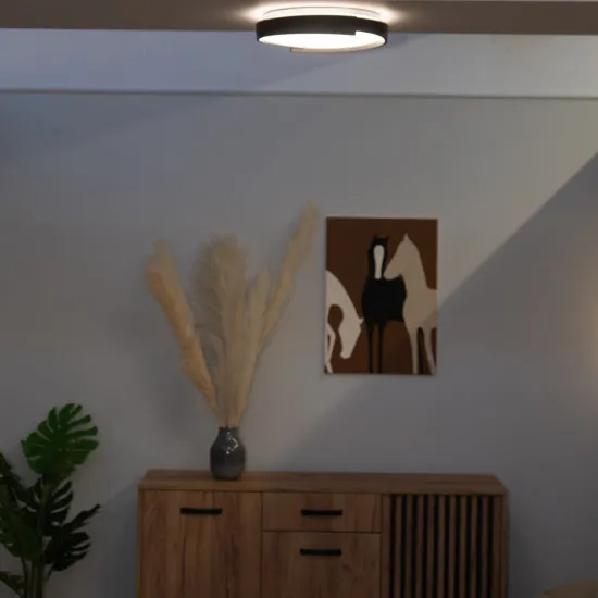 Rábalux Laleh fekete LED mennyezeti lámpa (RAB-71305) LED 1 izzós IP20