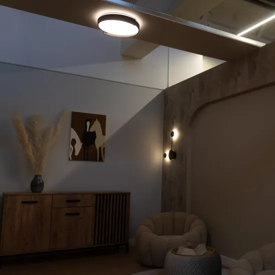 Rábalux Laleh fekete LED mennyezeti lámpa (RAB-71305) LED 1 izzós IP20