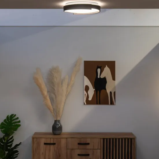 Rábalux Laleh fekete LED mennyezeti lámpa (RAB-71305) LED 1 izzós IP20