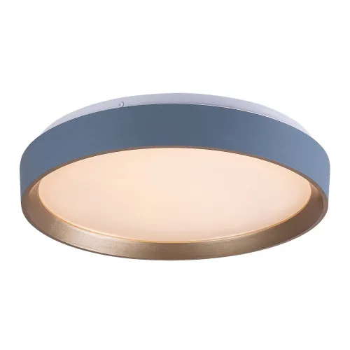 Rábalux Liatris 2 szürke-arany LED mennyezeti lámpa (RAB-71185) LED 1 izzós IP20