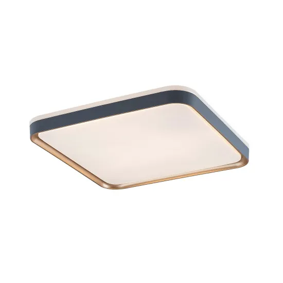 Rábalux Liatris szürke-arany LED mennyezeti lámpa (RAB-71029) LED 1 izzós IP20