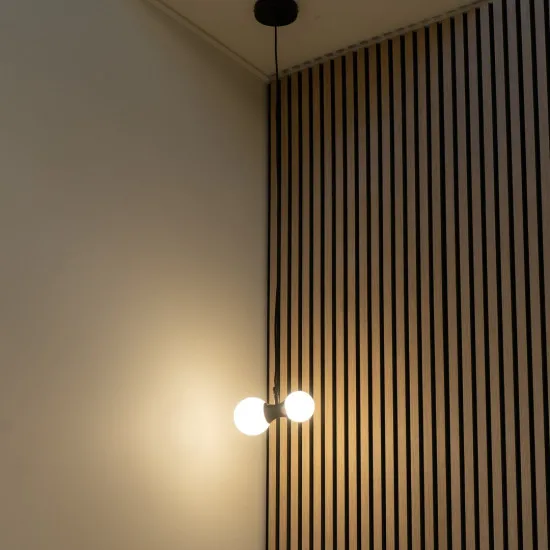 Rábalux Lition fekete függesztett lámpa (RAB-72299) G9 2 izzós IP20