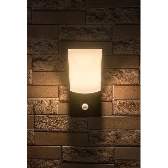Rábalux Tolna fekete mozgásérzékelős LED kültéri fali lámpa (RAB-77172) LED 1 izzós IP54