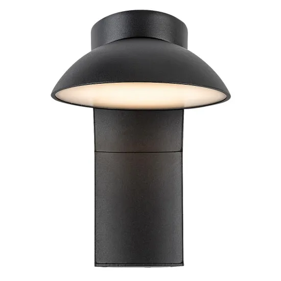 Rábalux Wengen fekete LED kültéri fali lámpa (RAB-77148) LED 1 izzós IP54