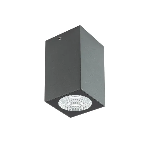 Redo Quad sötétszürke vízvédett LED kültéri mennyezeti lámpa (RED-90820) LED 1 izzós IP65