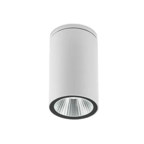 Redo Ram fehér vízvédett LED kültéri mennyezeti lámpa (RED-90810) LED 1 izzós IP65