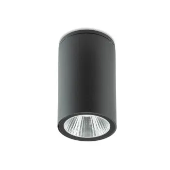 Redo Ram sötétszürke vízvédett LED kültéri mennyezeti lámpa (RED-90811) LED 1 izzós IP65