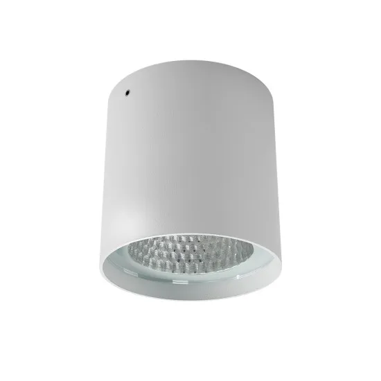 Redo Xia fehér vízvédett LED kültéri mennyezeti lámpa (RED-91201) LED 1 izzós IP65