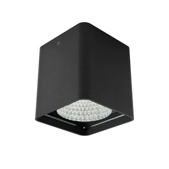 Redo Xia fekete vízvédett LED kültéri mennyezeti lámpa (RED-91212) LED 1 izzós IP65