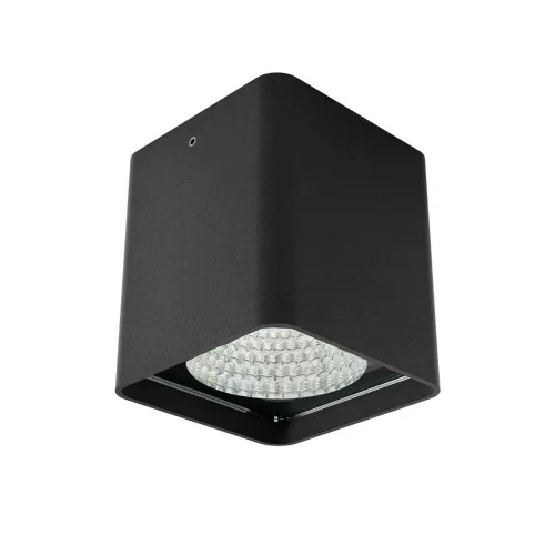 Redo Xia fekete vízvédett LED kültéri mennyezeti lámpa (RED-91215) LED 1 izzós IP65