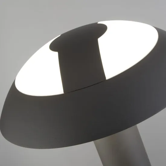 Searchlight Mushroom antracit LED kültéri állólámpa (SL-7264-730) LED 1 izzós IP44