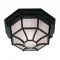 Searchlight Vermont fekete kültéri mennyezeti lámpa (SL-2942BK) E27 1 izzós IP54