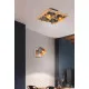 Trio Bell natúr-nikkel fali/mennyezeti spotlámpa (TRI-801900167) E14 1 izzós IP20