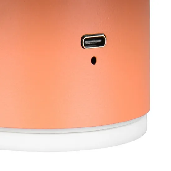 Trio Davey narancssárga hordozható LED fali lámpa (TRI-R24431140) LED 1 izzós IP20