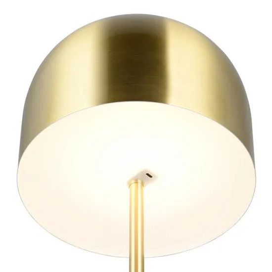 Trio Jeff bronz hordozható LED asztali/állólámpa (TRI-R49151108) LED 1 izzós IP20