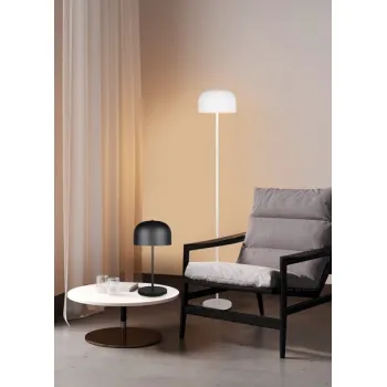 Trio Jeff fekete hordozható LED asztali/állólámpa (TRI-R49151132) LED 1 izzós IP20