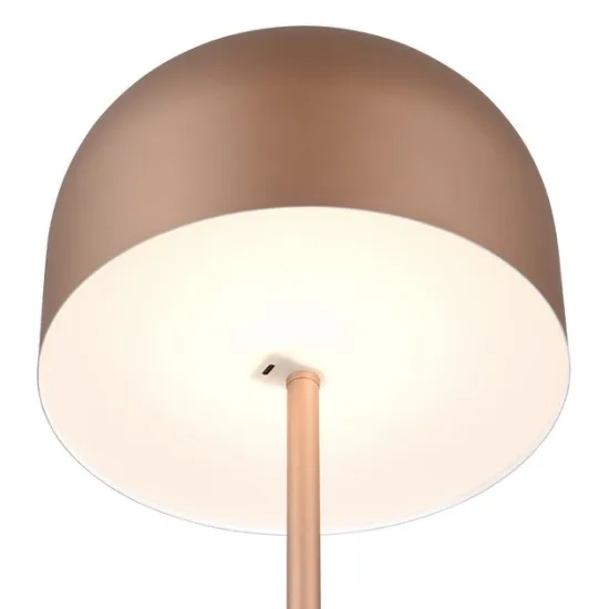 Trio Jeff barna hordozható LED asztali/állólámpa (TRI-R49151165) LED 1 izzós IP20