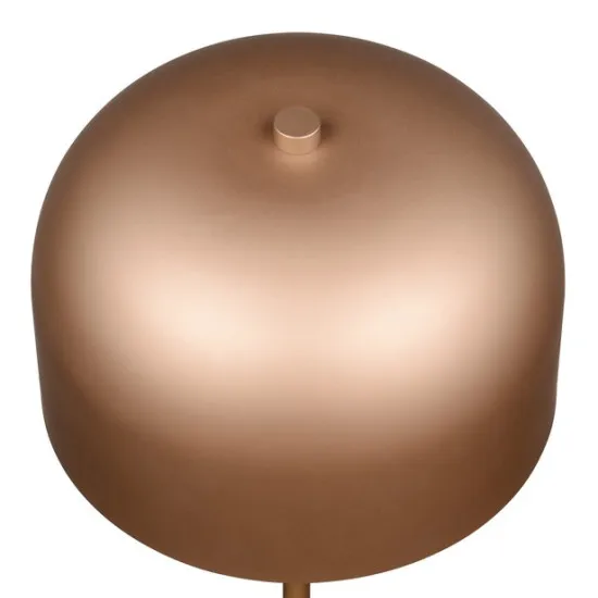 Trio Jeff barna hordozható LED asztali/állólámpa (TRI-R49151165) LED 1 izzós IP20