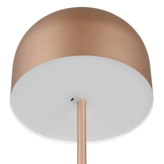 Trio Jeff barna hordozható LED asztali/állólámpa (TRI-R49151165) LED 1 izzós IP20