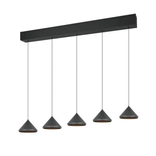 Trio Laguna matt fekete LED függesztett lámpa (TRI-336210532) LED 5 izzós IP20