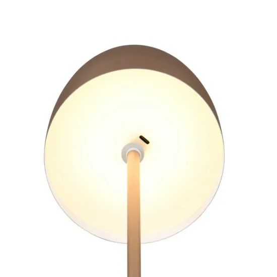 Trio Munoz barna hordozható LED asztali lámpa (TRI-R54891165) LED 1 izzós IP20