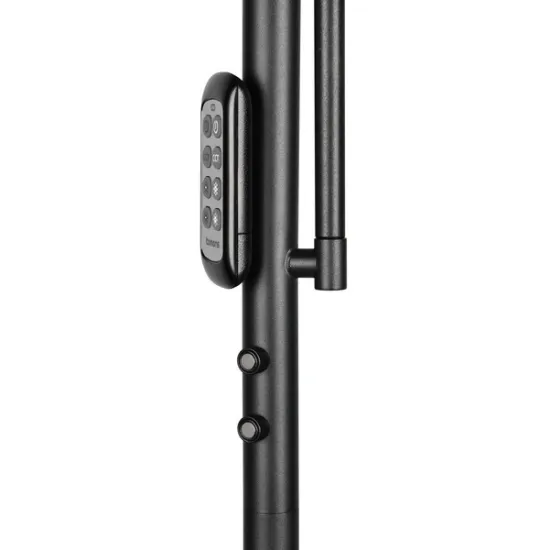 Trio Palermo fekete LED állólámpa olvasókarral (TRI-R45741132) LED 2 izzós IP20