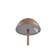 Trio Ricardo barna LED kültéri asztali lámpa (TRI-R54106165) LED 1 izzós IP54