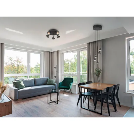 Trio Romeo matt fekete LED mennyezeti lámpa (TRI-637010532) LED 5 izzós IP20