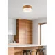 Trio Seasons barna-fehér mennyezeti lámpa (TRI-611500201) E14 2 izzós IP20