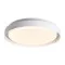 Zambelis  fehér-fehér LED kültéri mennyezeti lámpa (ZAM-E326) LED 1 izzós IP65