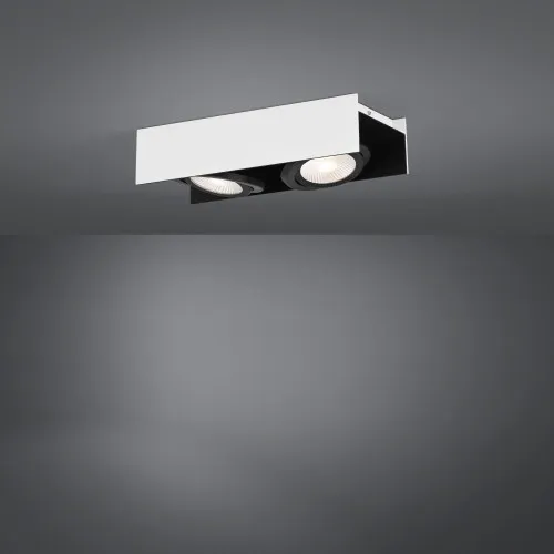 Eglo Vidago fekete-fehér LED mennyezeti spotlámpa (EG-39316) LED 2 izzós IP20