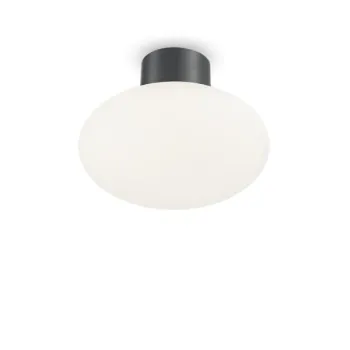 Ideal Lux Clio antracit-fehér kültéri mennyezeti lámpa (IDE-148861) E27 1 izzós IP44 Ideal Lux Clio antracit-fehér kültéri mennyezeti lámpa (IDE-148861) E27 1 izzós IP44