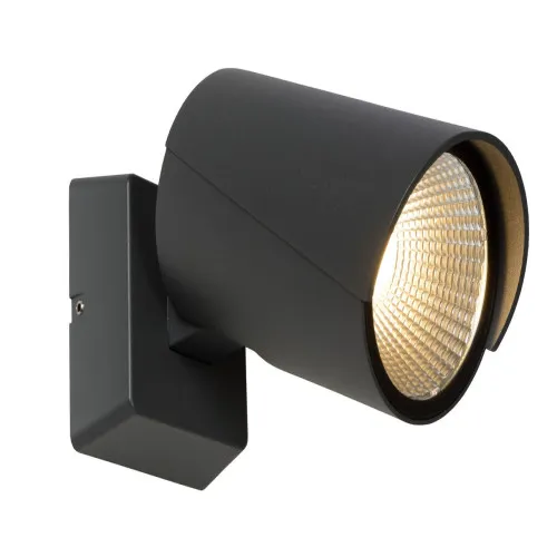 Lucide Manal antracit LED kültéri fali lámpa (LUC-27896/12/29) LED 1 izzós IP65