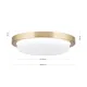 Orion Lerox csiszolt sárgaréz-opál LED mennyezeti lámpa (ORI-DL 7-668/20_B_BR) LED 1 izzós IP20