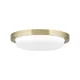 Orion Lerox sárgaréz-opál LED mennyezeti lámpa (ORI-DL 7-668/20_BR) LED 1 izzós IP20