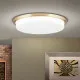 Orion Lerox csiszolt sárgaréz-opál LED mennyezeti lámpa (ORI-DL 7-670/40_B_BR) LED 1 izzós IP20