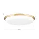 Orion Lerox csiszolt sárgaréz-opál LED mennyezeti lámpa (ORI-DL 7-670/40_B_BR) LED 1 izzós IP20