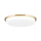 Orion Lerox csiszolt sárgaréz-opál LED mennyezeti lámpa (ORI-DL 7-670/40_B_BR) LED 1 izzós IP20