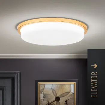 Orion Lerox arany-opál LED mennyezeti lámpa (ORI-DL 7-670/40_GO) LED 1 izzós IP20