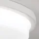 Orion Lerox fehér-opál LED mennyezeti lámpa (ORI-DL 7-670/40_WH) LED 1 izzós IP20