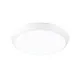 Orion Maggy fehér fürdőszobai LED mennyezeti lámpa (ORI-NU 9-494) LED 1 izzós IP65